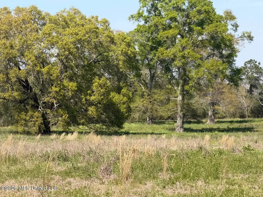 11.74 Magnolia Road, Perkinston, MS 39573 - #3