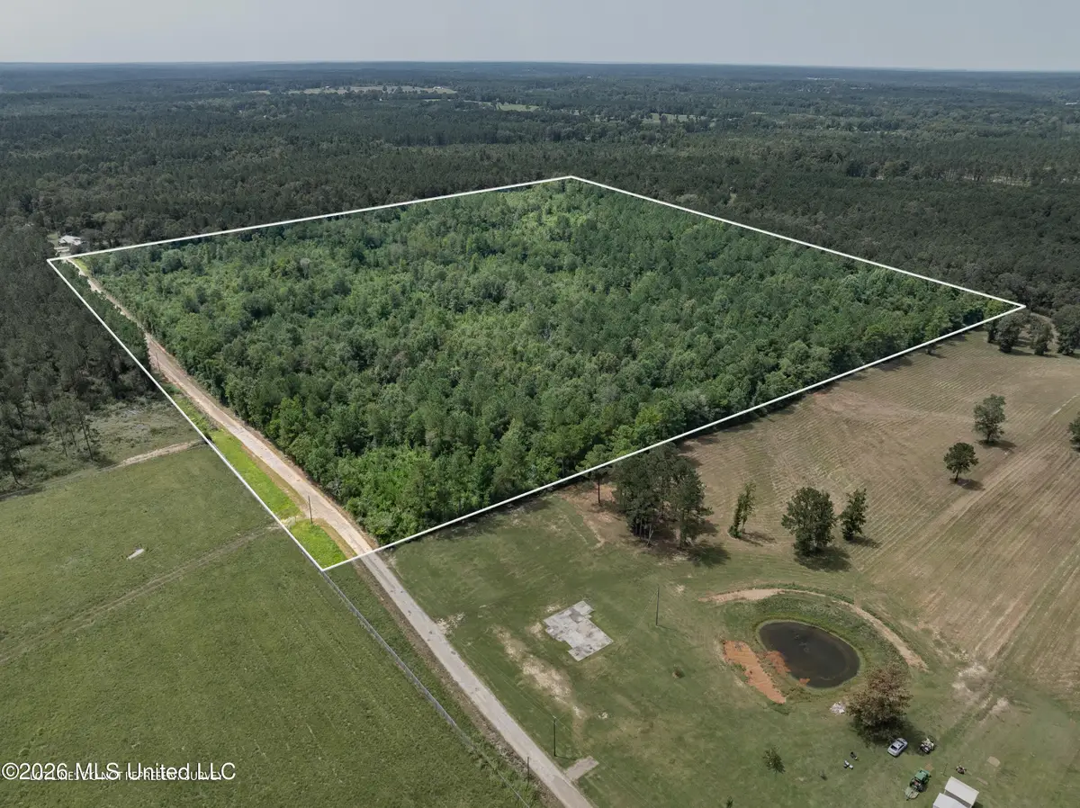40 Acres Son's Lane, Mount Olive, MS 39119 - #1