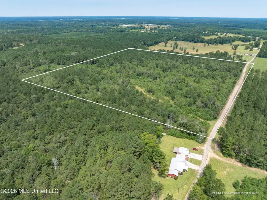 40 Acres Son's Lane, Mount Olive, MS 39119 - #3