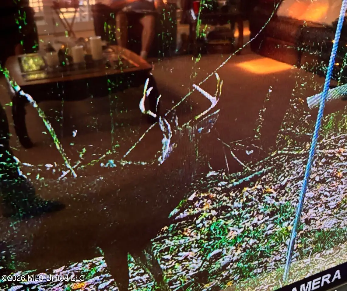 50 Oakdale Church Road, Seminary, MS 39479 - #1