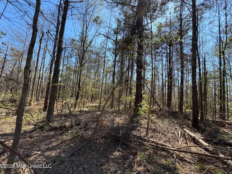 0 N Circle Road, Lexington, MS 39095 - #3