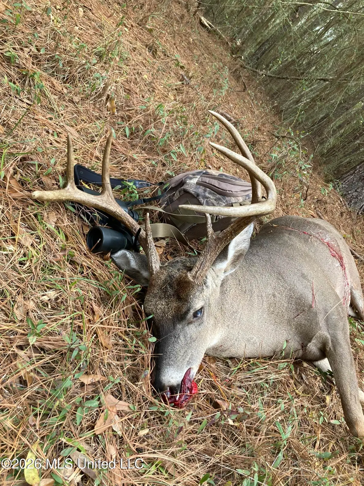 Conerly Drive, McComb, MS 39648 - #1