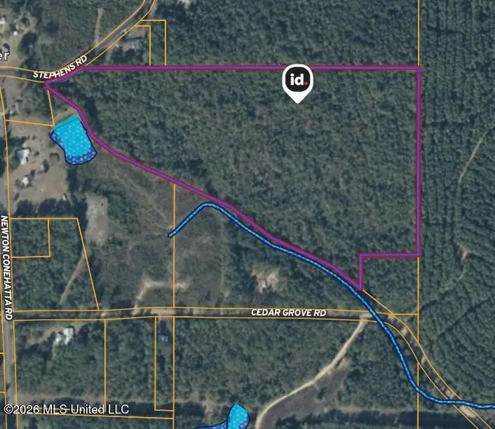 Stephens Road, Newton, MS 39345 - #1