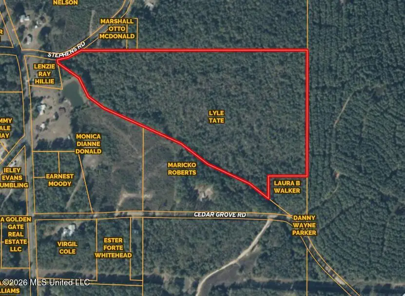 Stephens Road, Newton, MS 39345 - #2