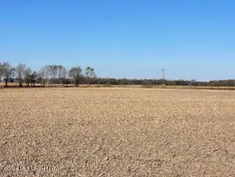 E Rosemary Road, Cleveland, MS 38732 - #3