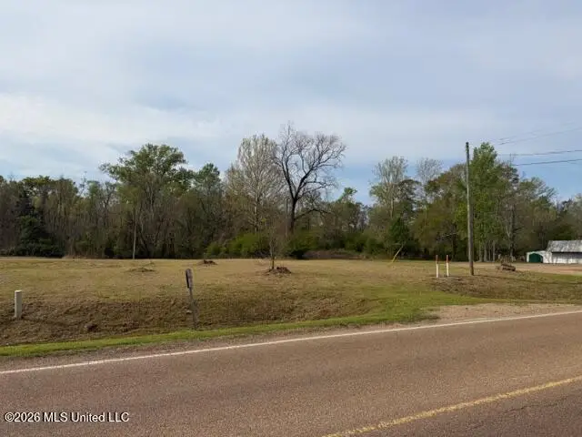 402 S 2nd Street, Morton, MS 39117 - #2