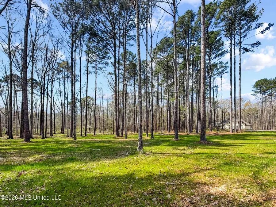 Brookhollow Lot 6 Court, Flowood, MS 39232 - #2