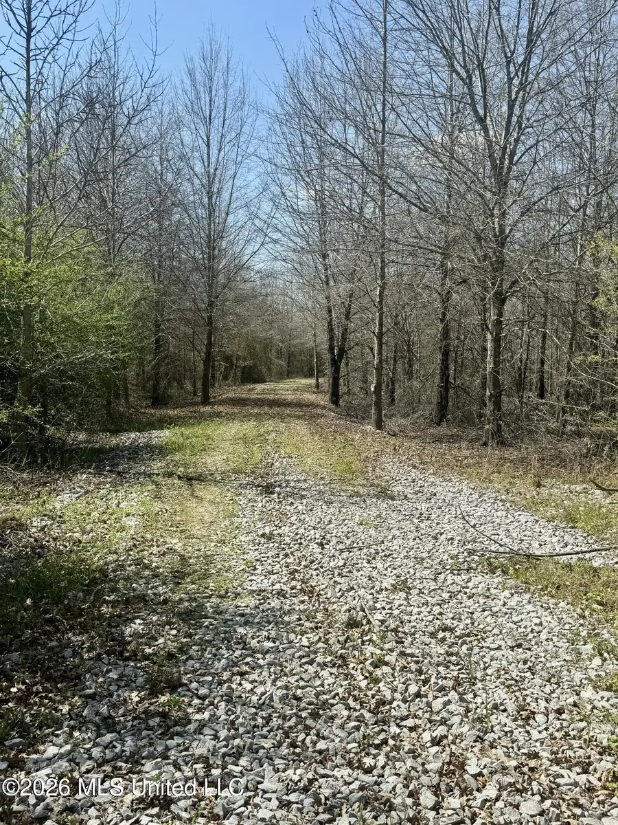 Mississippi 35 Highway, Carthage, MS 39051 - #2