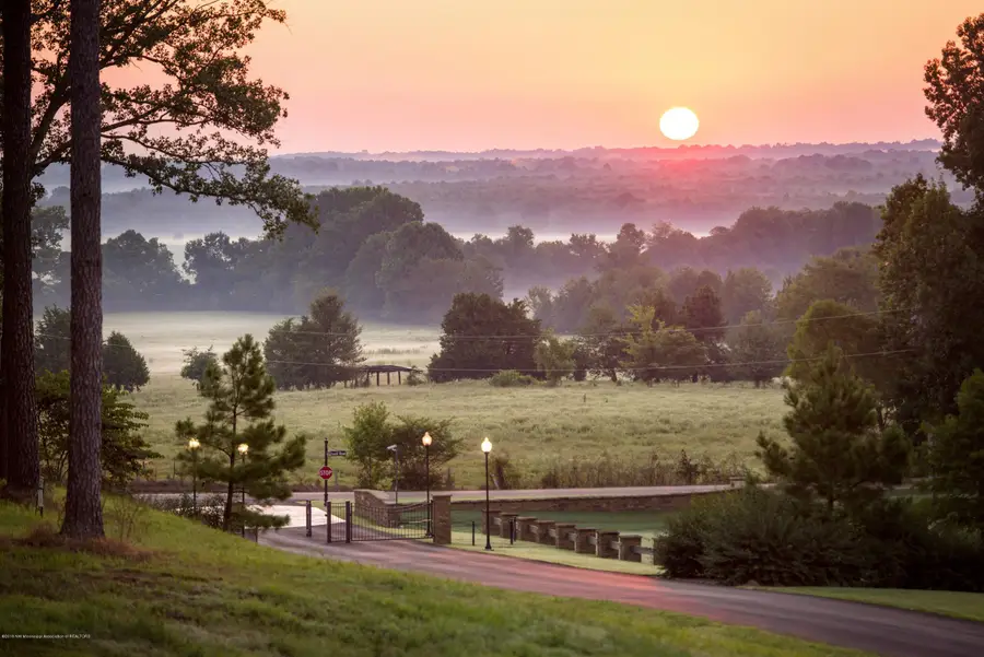 7 Plank Road, Hernando, MS 38632 - #2