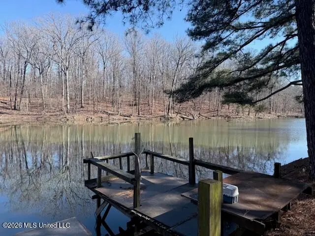 9120 Old Highway 61, Walls, MS 38680 - #2