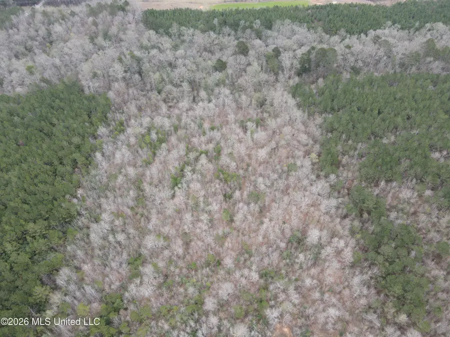 2573 SE Pricedale Drive, Bogue Chitto, MS 39629 - #2