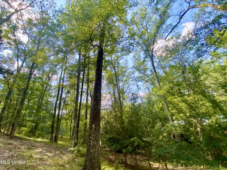 140 Westover Drive, Hazlehurst, MS 39083 - #3