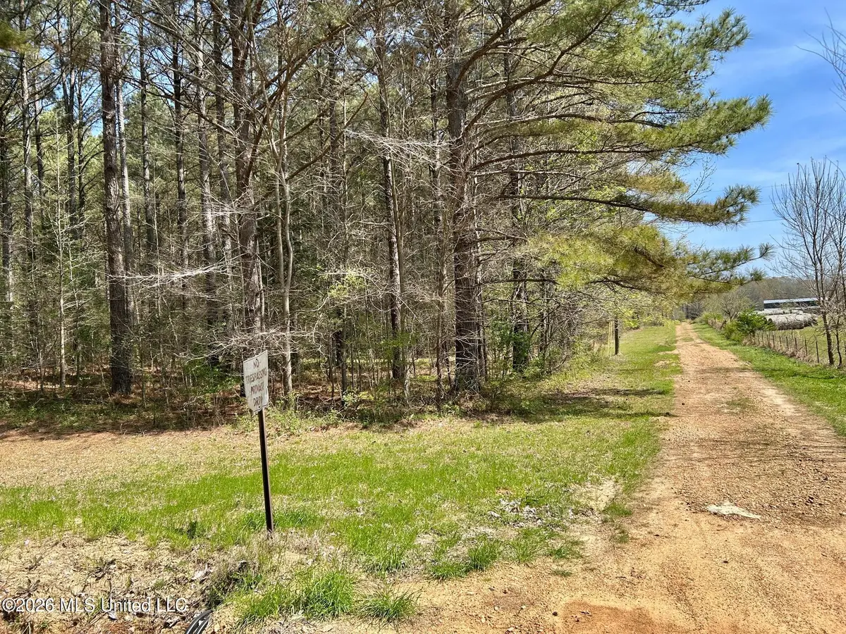 2250 Bend Road, Coldwater, MS 38618 - #1