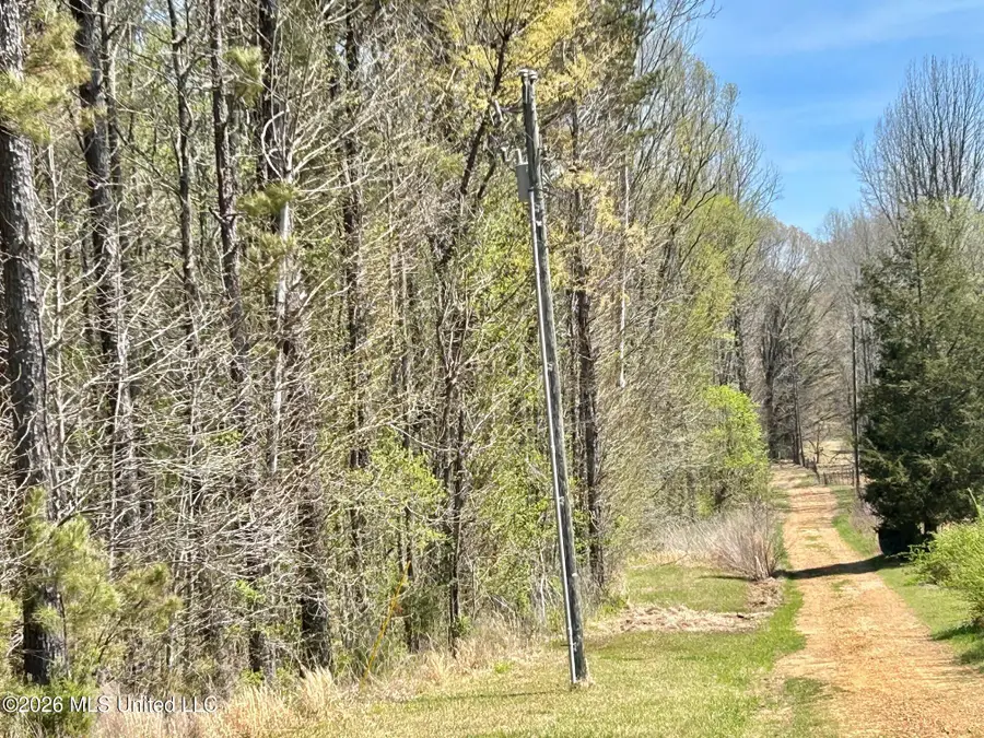 2250 Bend Road, Coldwater, MS 38618 - #3