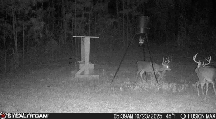 285 Mount Horeb Road, Meridian, MS 39301 - #3