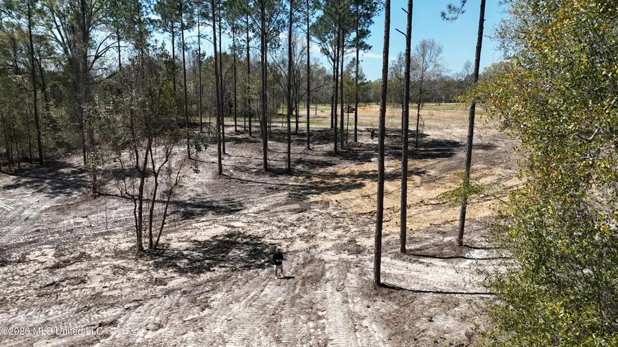 Nhn Yankee Road, Lucedale, MS 39452 - #2