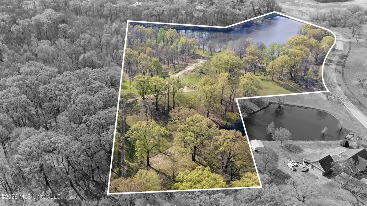 4234 Delta View Road, Lake Cormorant, MS 38641 - #1