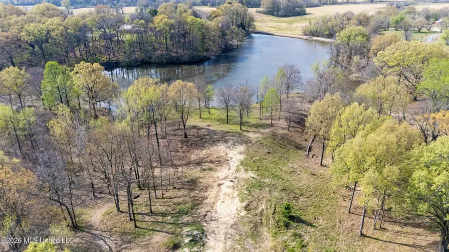 4234 Delta View Road, Lake Cormorant, MS 38641 - #2