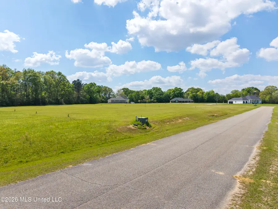 Lot 9 Oak Drive, Perkinston, MS 39573 - #2