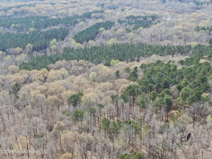 4500 Jaybird Road, Hernando, MS 38632 - #2