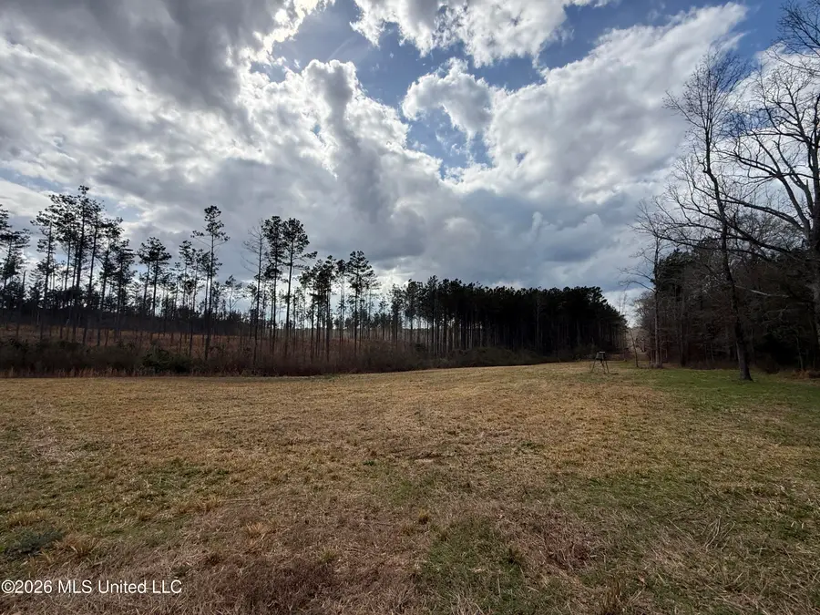 Cutts Road, Ackerman, MS 39735 - #3