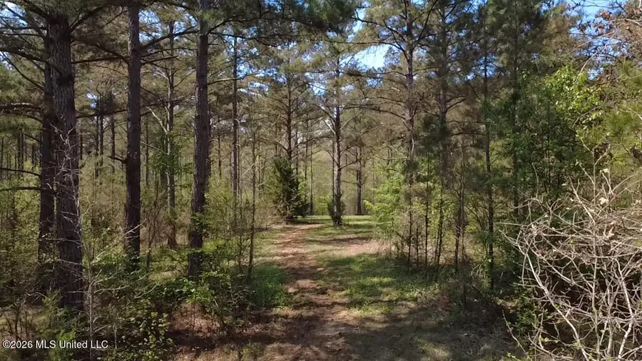 1256 Barnes Rd Road, Canton, MS 39046 - #3