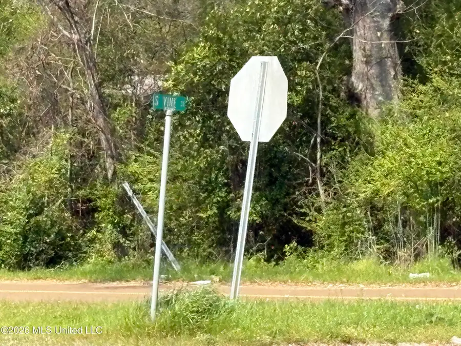 144 Henry Street, Lexington, MS 39095 - #3