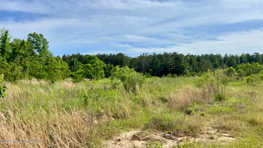 N South Pearson Road, Richland, MS 39218 - #2