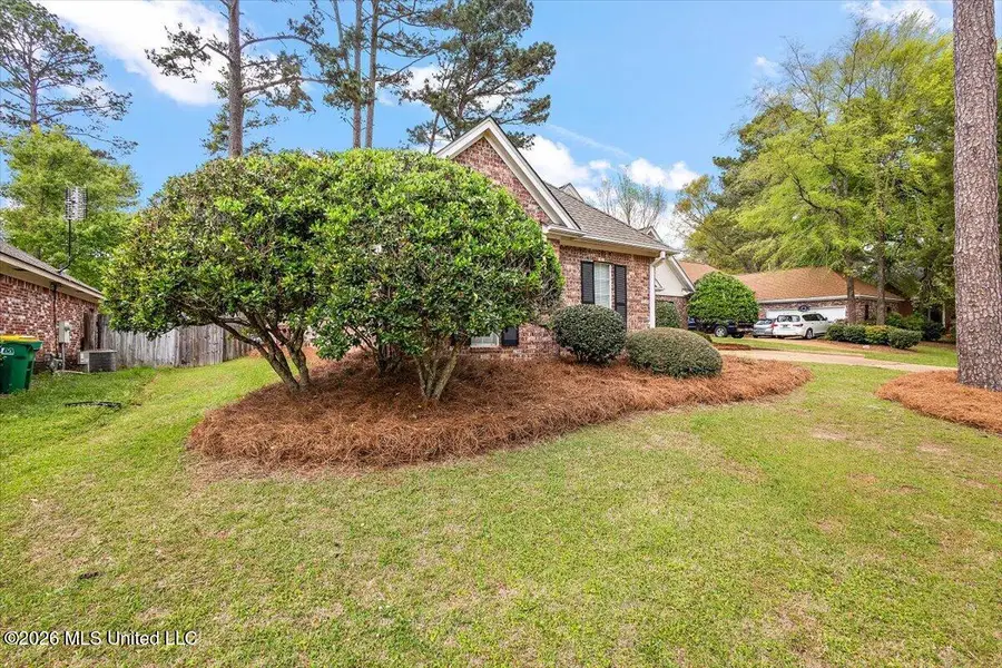 309 Maplewood Place, Ridgeland, MS 39157 - #3