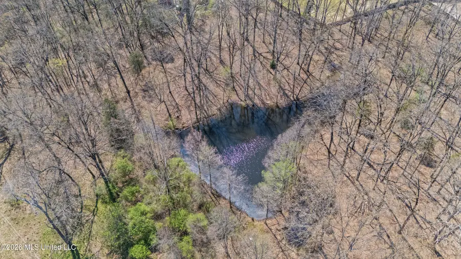 8730 College Road, Olive Branch, MS 38654 - #3