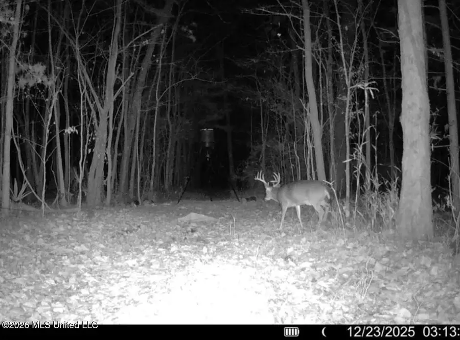 1309 County Road 311, Enterprise, MS 39330 - #2