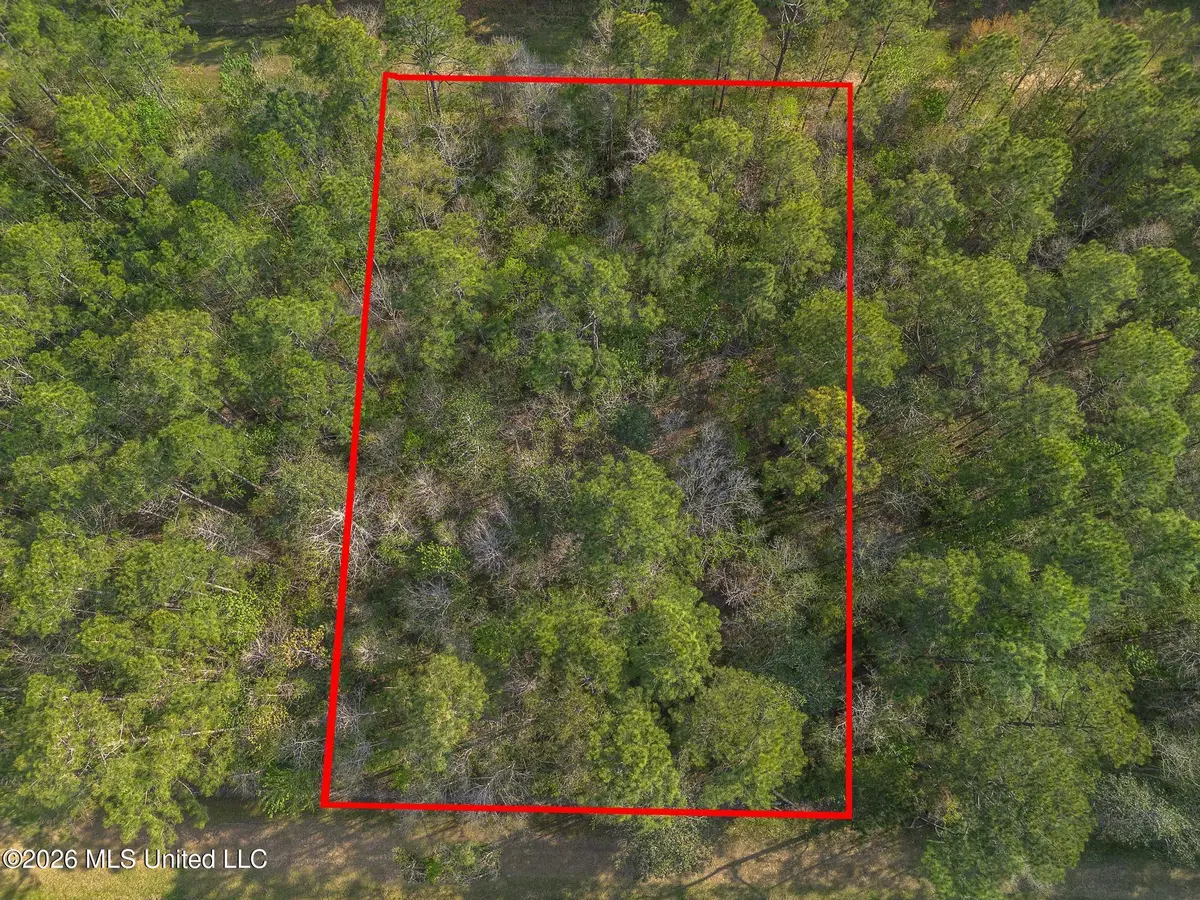 Ramon Street, Bay Saint Louis, MS 39520 - #1