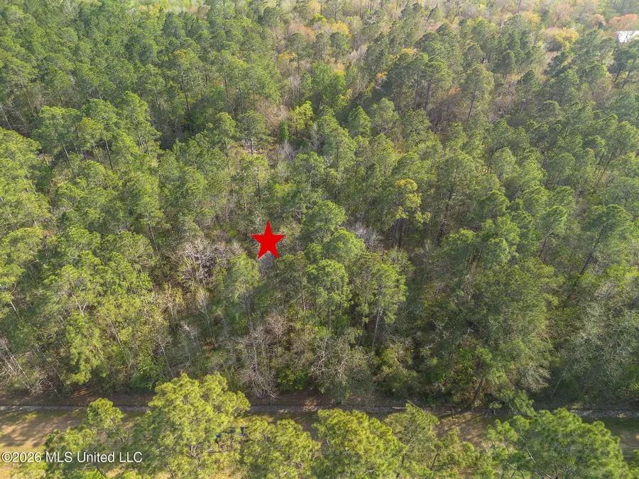 Ramon Street, Bay Saint Louis, MS 39520 - #3