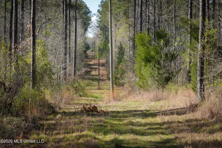 0 N Putnam Road, Pickens, MS 39146 - #3