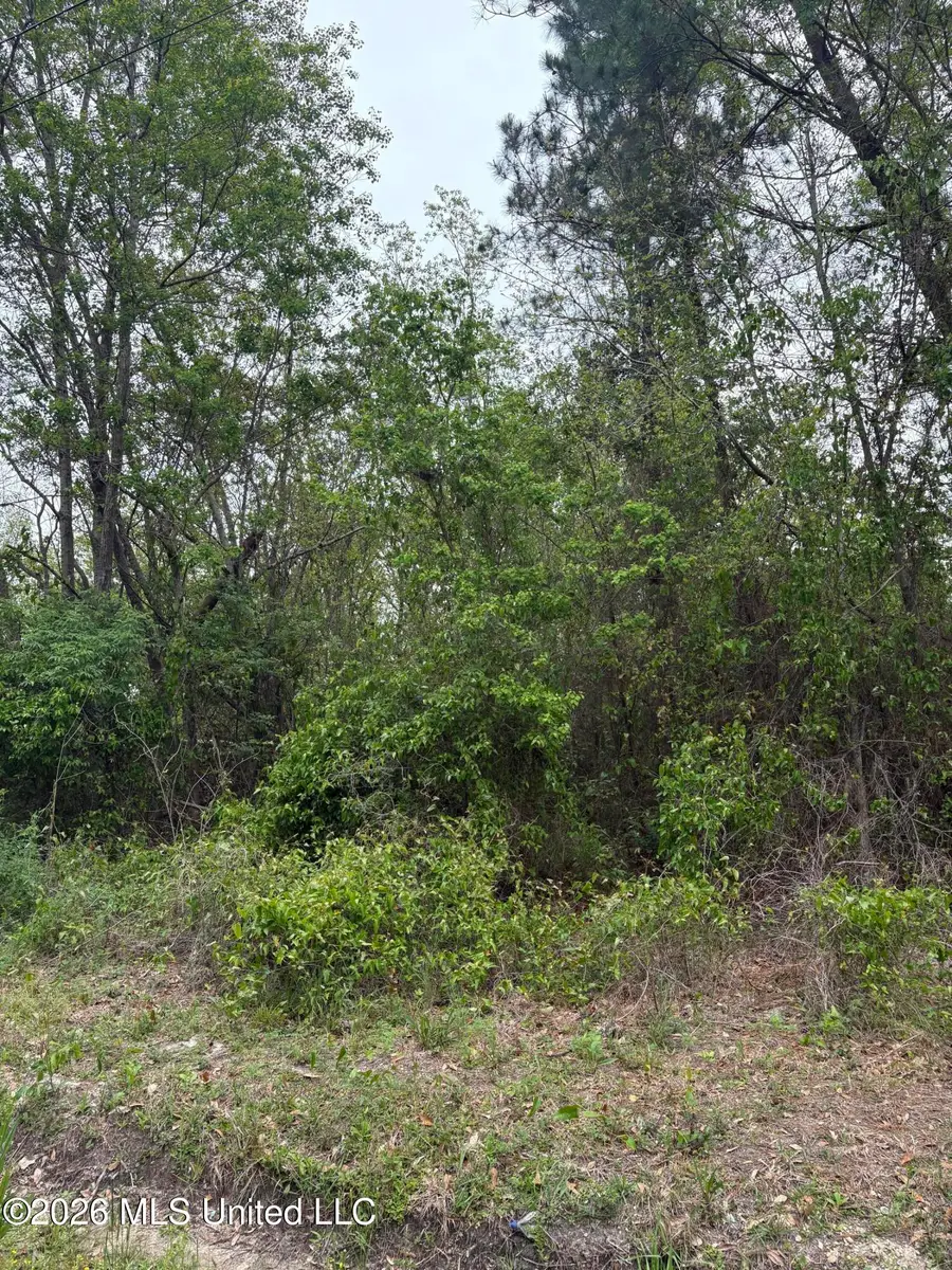 00 Wilson St Street, Bay Saint Louis, MS 39520 - #3