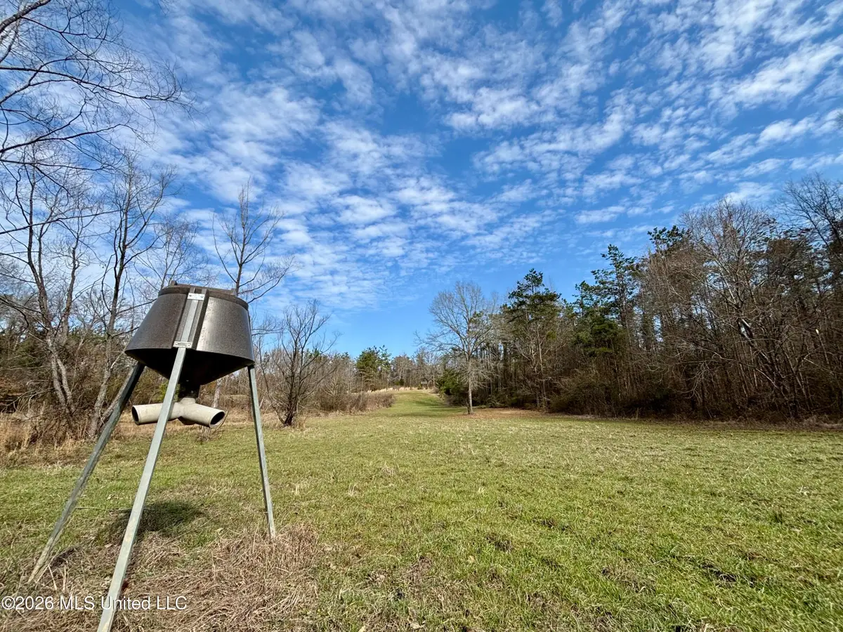 Ms-35, Vaiden, MS 39176 - #1