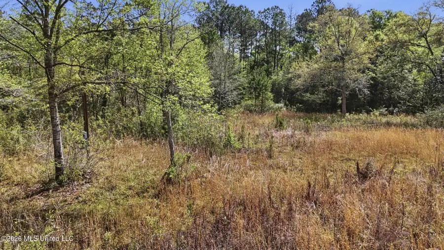 20548 Ms-43, Picayune, MS 39466 - #2