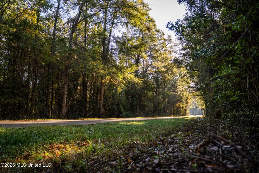 Sandflat Road, Meridian, MS 39301 - #2