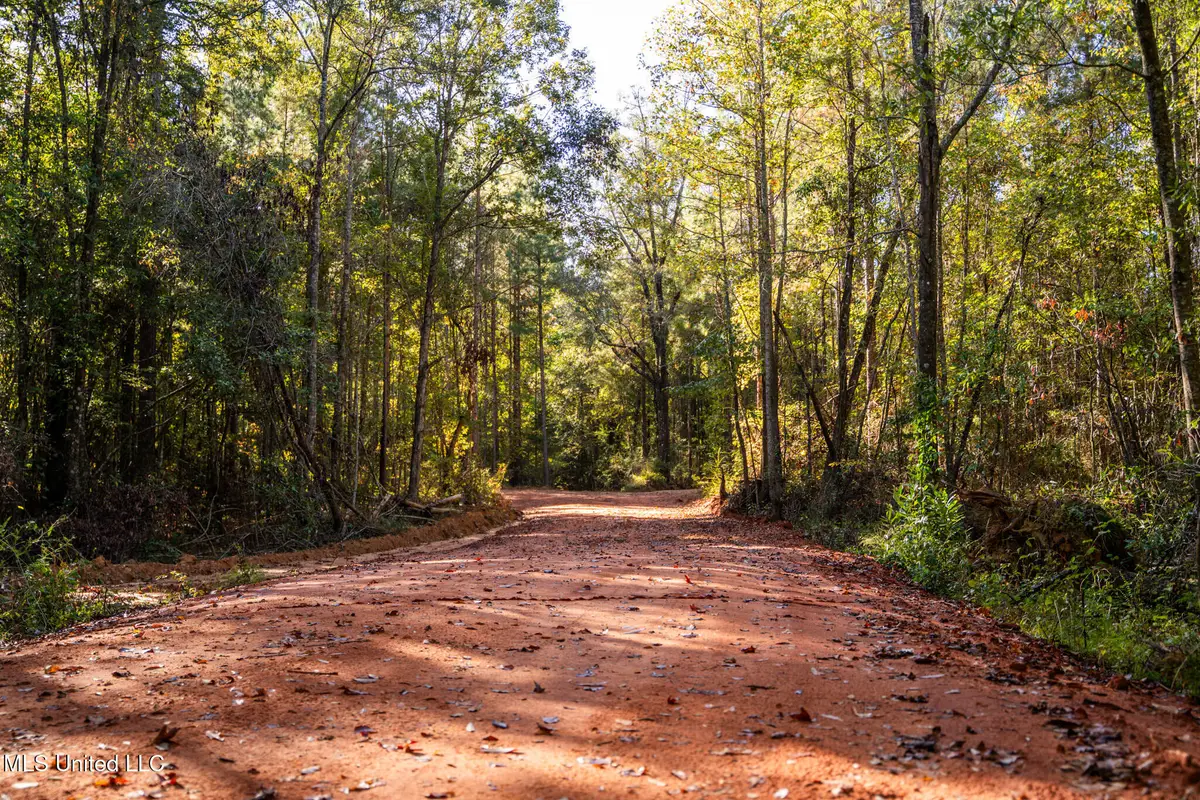 Bolin Long Creek Road, Meridian, MS 39301 - #1