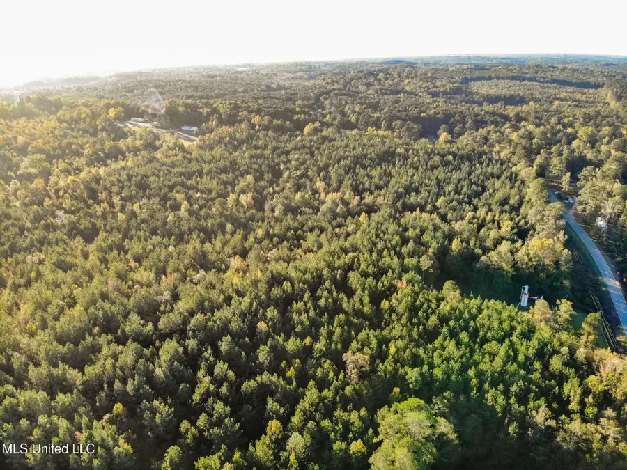 Bolin Long Creek Road, Meridian, MS 39301 - #3