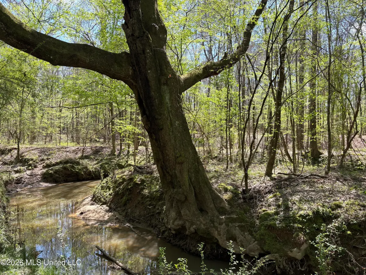 SW Auburn Drive, Bogue Chitto, MS 39629 - #1