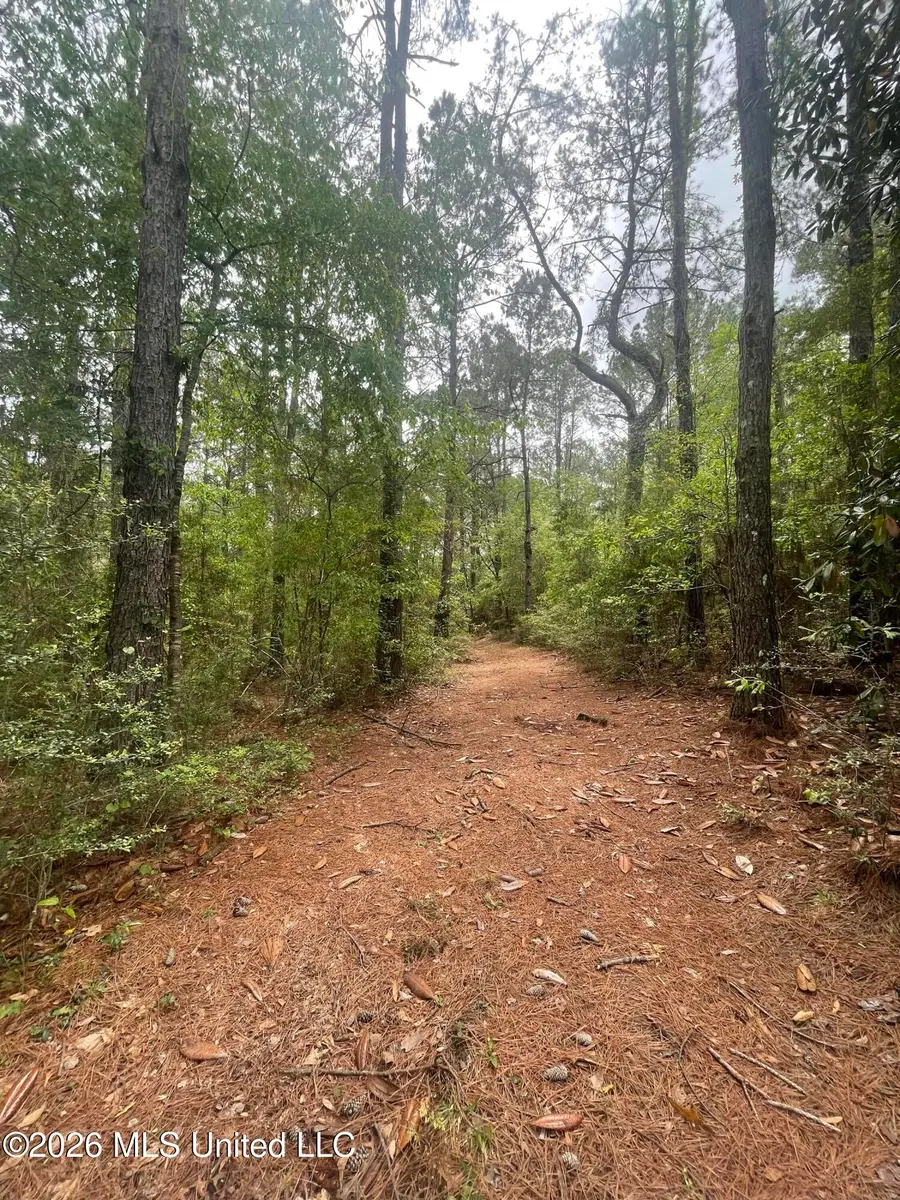 808 Big 4 Road, Wiggins, MS 39577 - #2