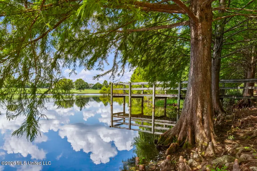 1454 A Livingston Vernon Road, Flora, MS 39071 - #2