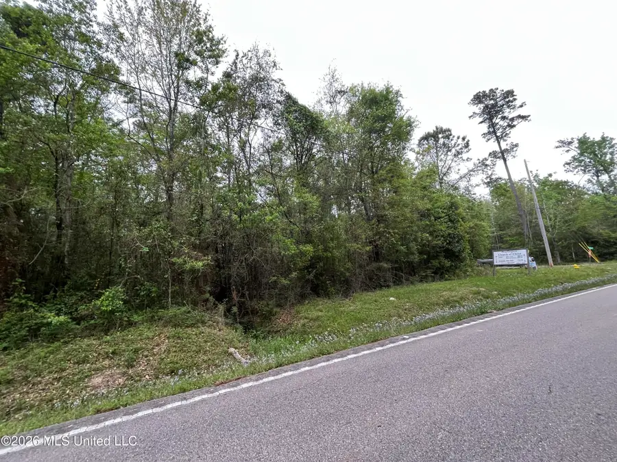 Lot 1 Cedar Drive, Pearlington, MS 39572 - #2
