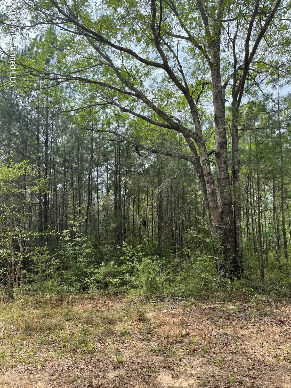 21 Range Line Road, Perkinston, MS 39573 - #1