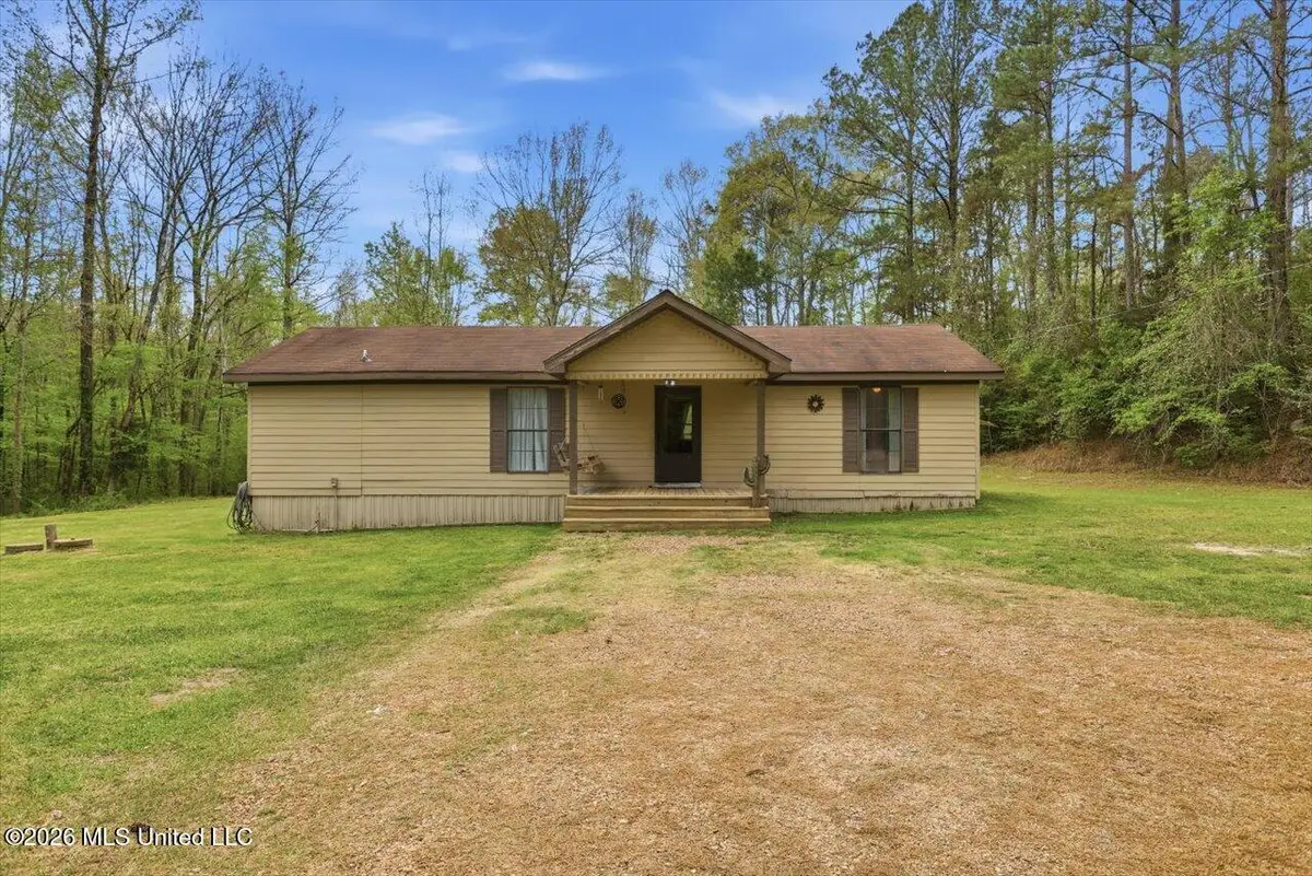 707 Gum Springs Road, Braxton, MS 39044 - #1