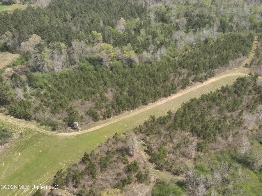 3194 James Road, Hazlehurst, MS 39083 - #2