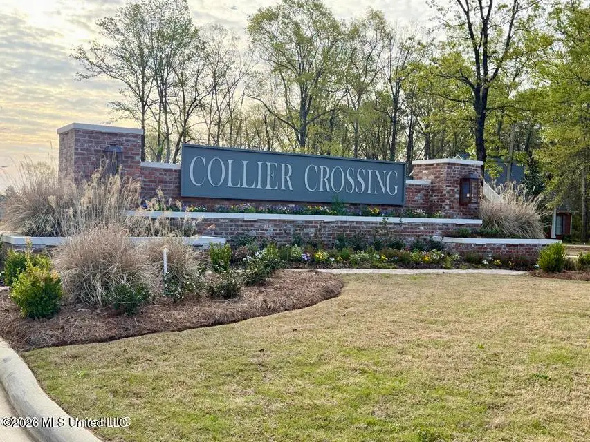 725 Celadon Street, Brandon, MS 39042 - #2