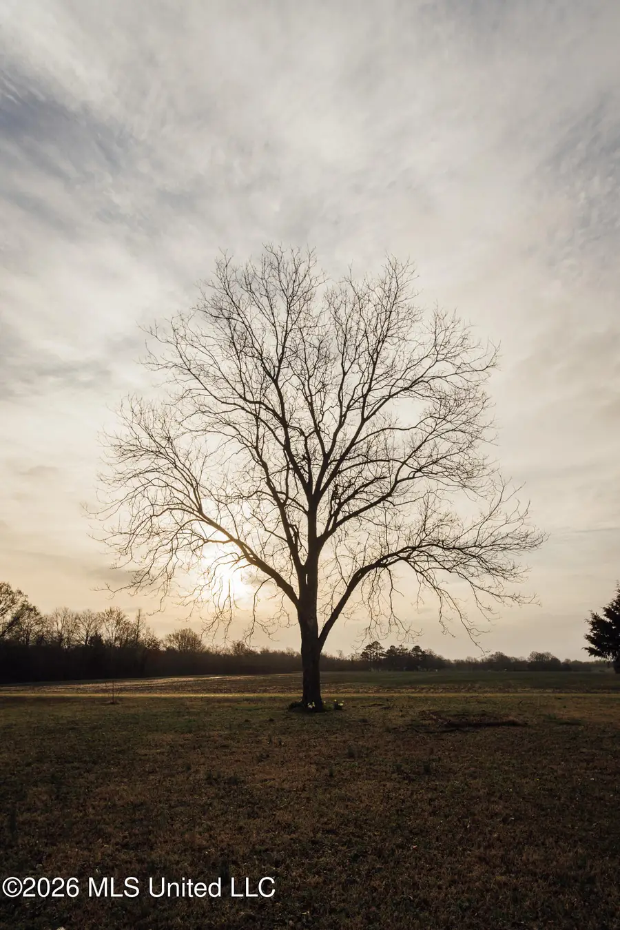 1549 County Road 99, Sidon, MS 38954 - #3