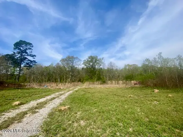 Mississippi 24, Gloster, MS 39638 - #2